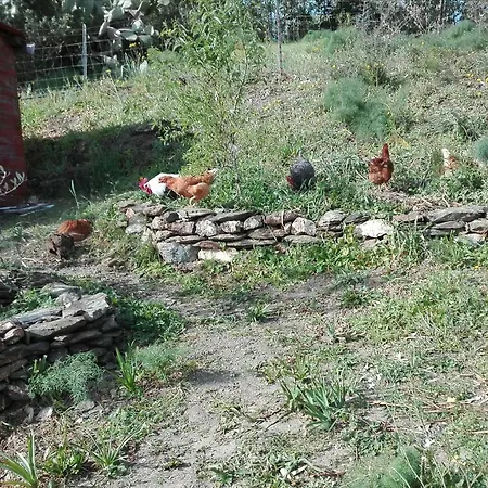 Agriturismo Cuccuru E Jana Landhaus
