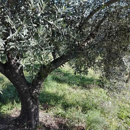 Séjour à la campagne Agriturismo Cuccuru E Jana
