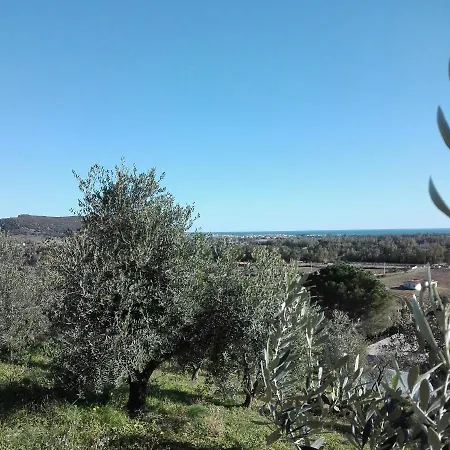 Agriturismo Cuccuru E Jana *
