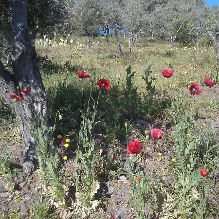 Agriturismo Cuccuru E Jana